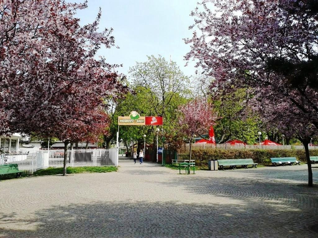 Modern Apartment Riegrovy Sady Prague Exterior photo